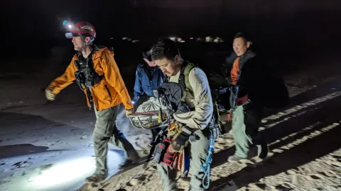 Night search