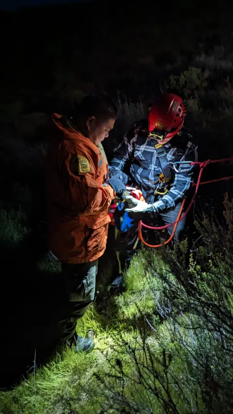 Night Operations photo